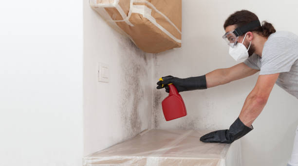 Professional Mold Remediation technician working in Thompsonville, MI