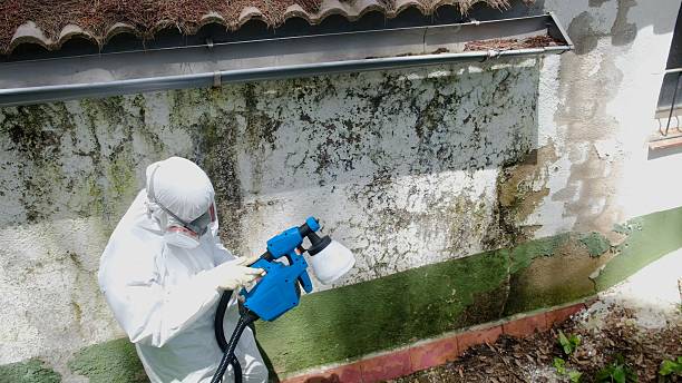 Top rated local Mold Remediation specialists in Thompsonville, MI
